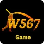 W567 Game