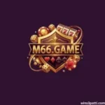 M66 Game