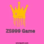 ZS999 Game