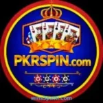 PKRSpin Game